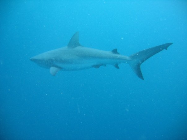 In the office today..Photo by Adriana Verges