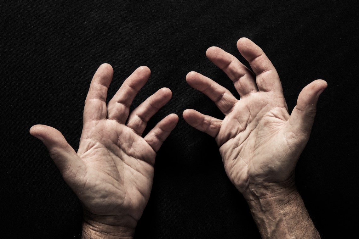 Professor Gordian Fulde